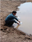 2Beaver_Beacon_Beaver_Island_Wildlife_Club_CMU_Walleye_Pond_4283.jpg