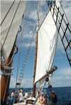 2Madeline-Beaver-Beacon-Main-Sail.jpg