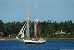 2Madeline-Beaver-Beacon-Setting-Sails.jpg