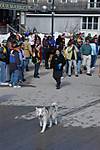 2004-beaver-beacon-beaver-island-st-patricks-day-7.jpg